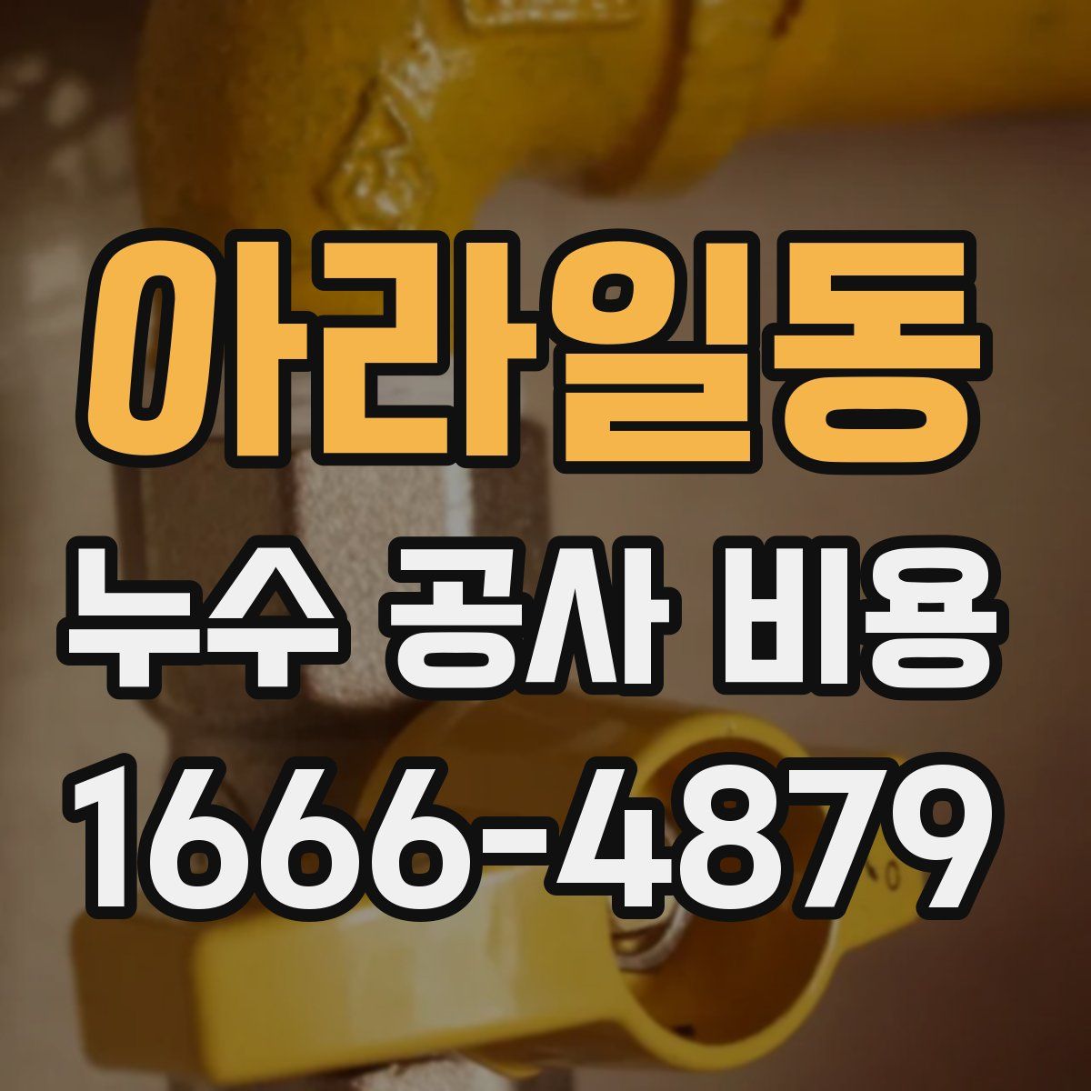 아라일동 누수 공사 비용