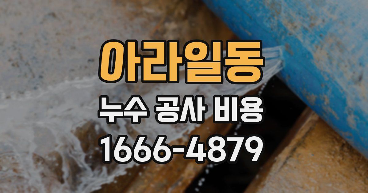 아라일동 누수 공사 비용