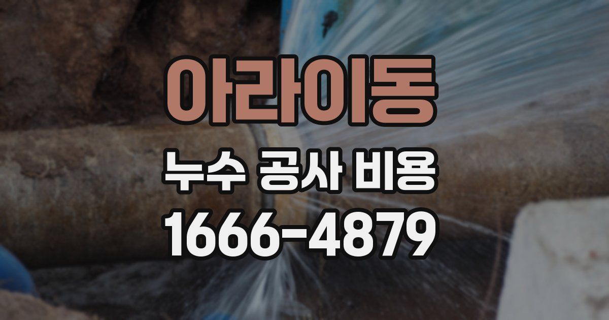 아라이동 누수 공사 비용
