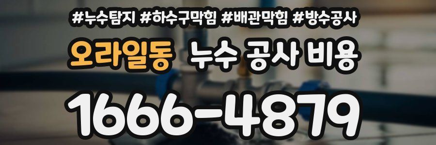 오라일동 누수 공사 비용