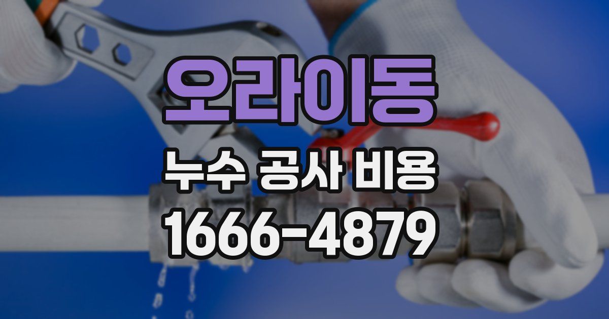 오라이동 누수 공사 비용
