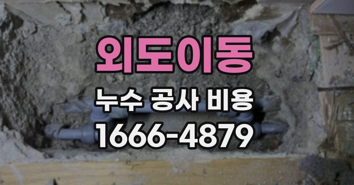외도이동 누수 공사 비용