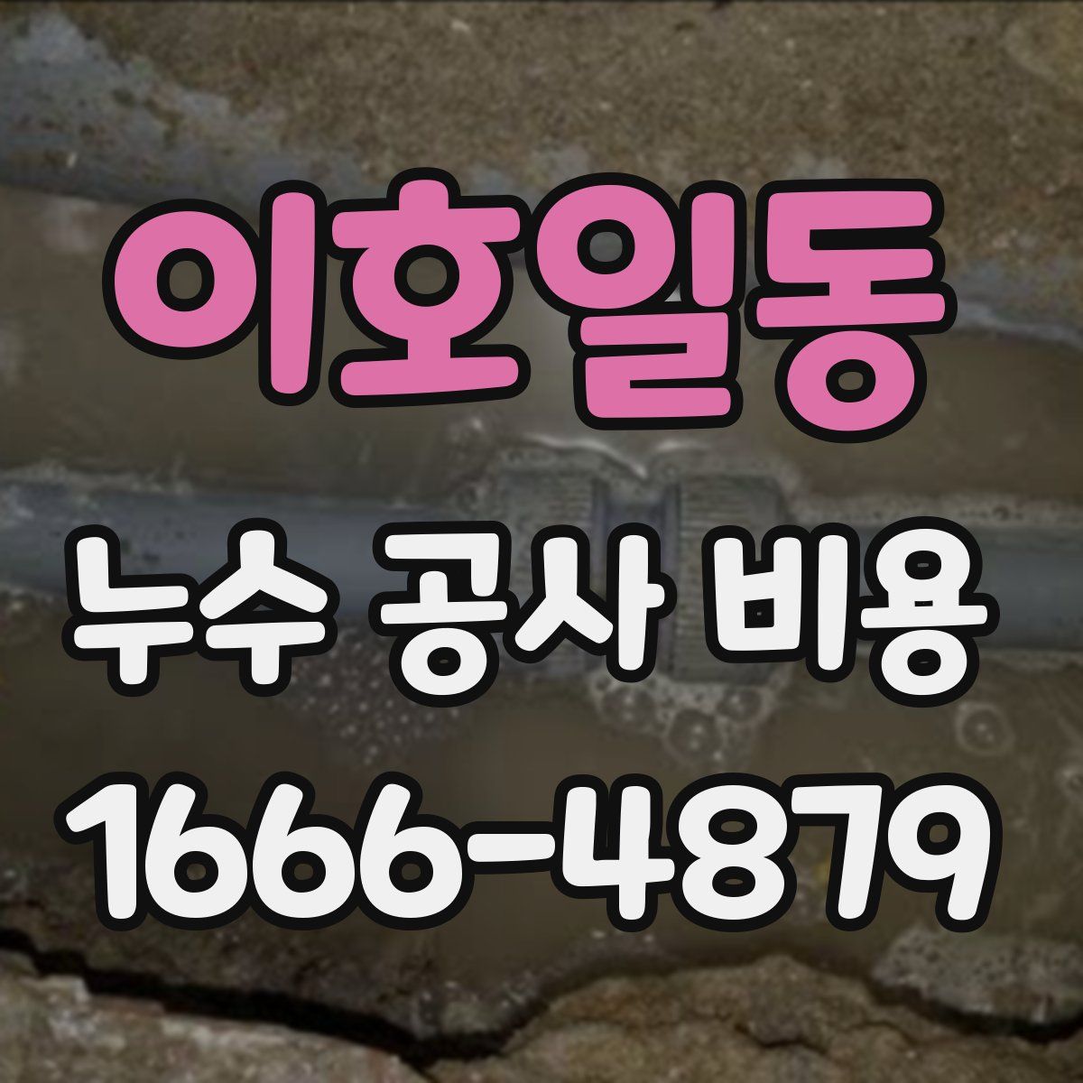 이호일동 누수 공사 비용