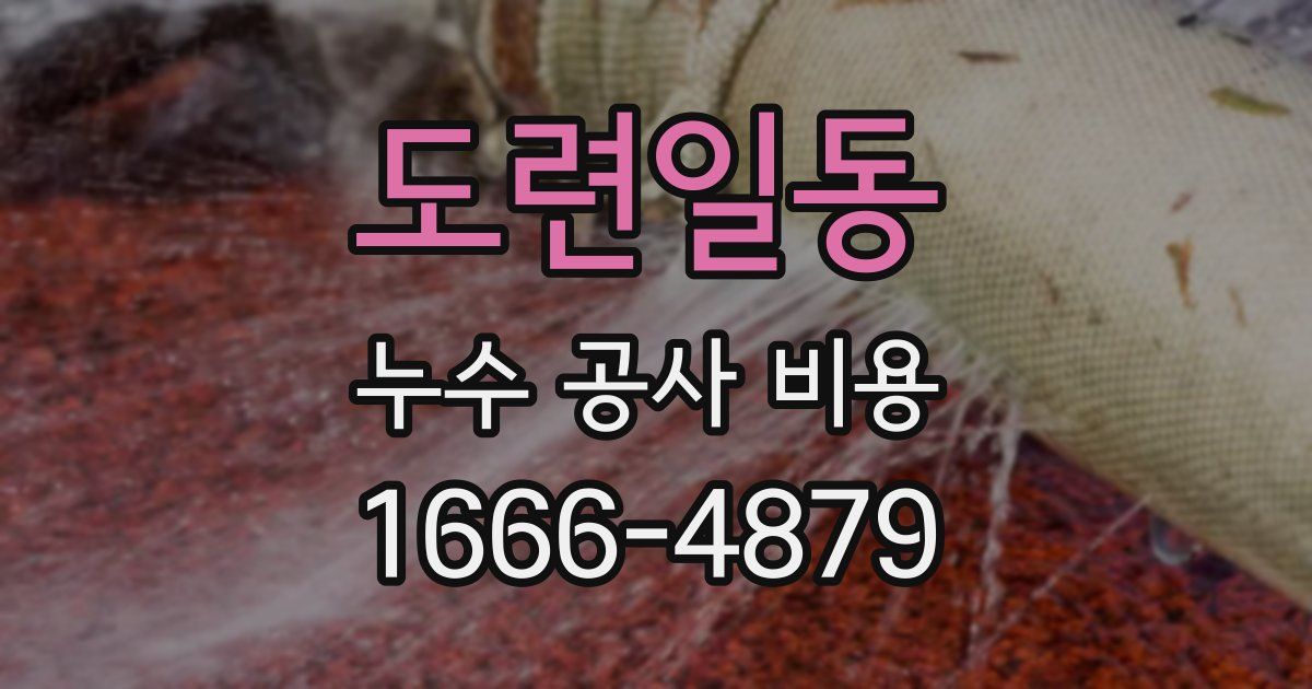 도련일동 누수 공사 비용