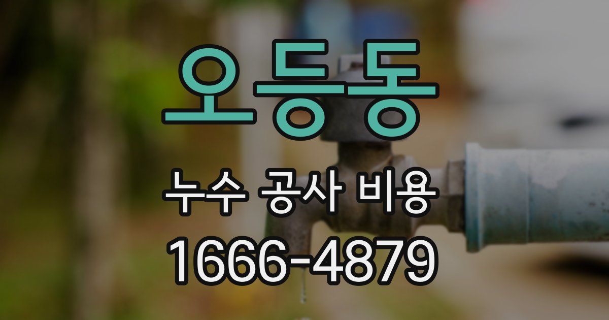 오등동 누수 공사 비용
