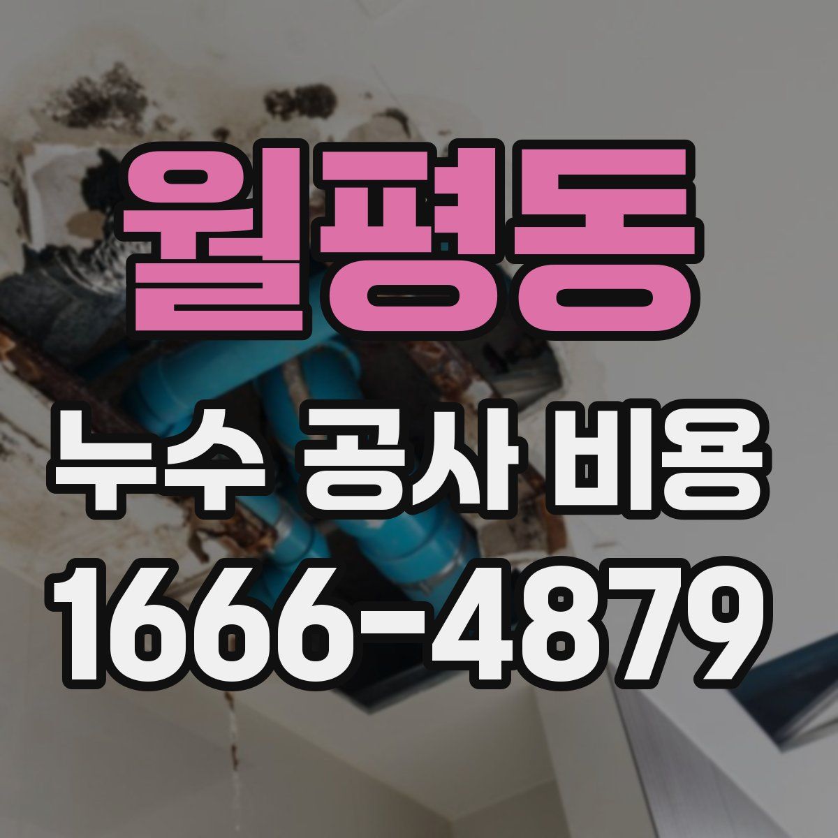 월평동 누수 공사 비용