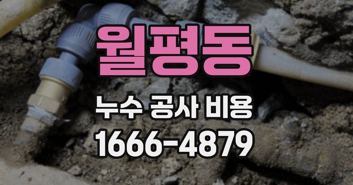 월평동 누수 공사 비용