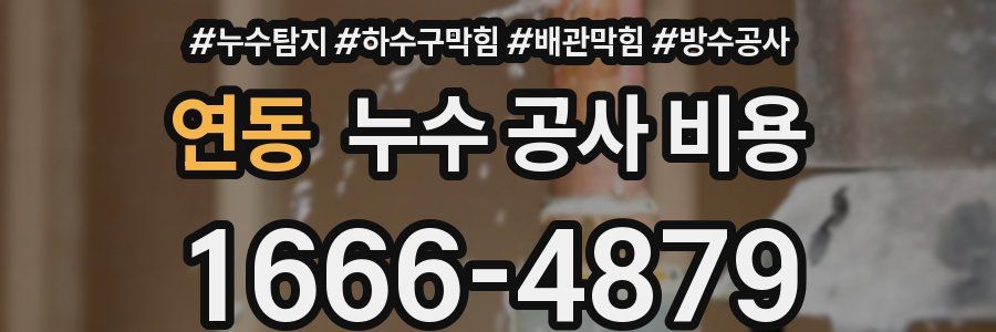 연동 누수 공사 비용