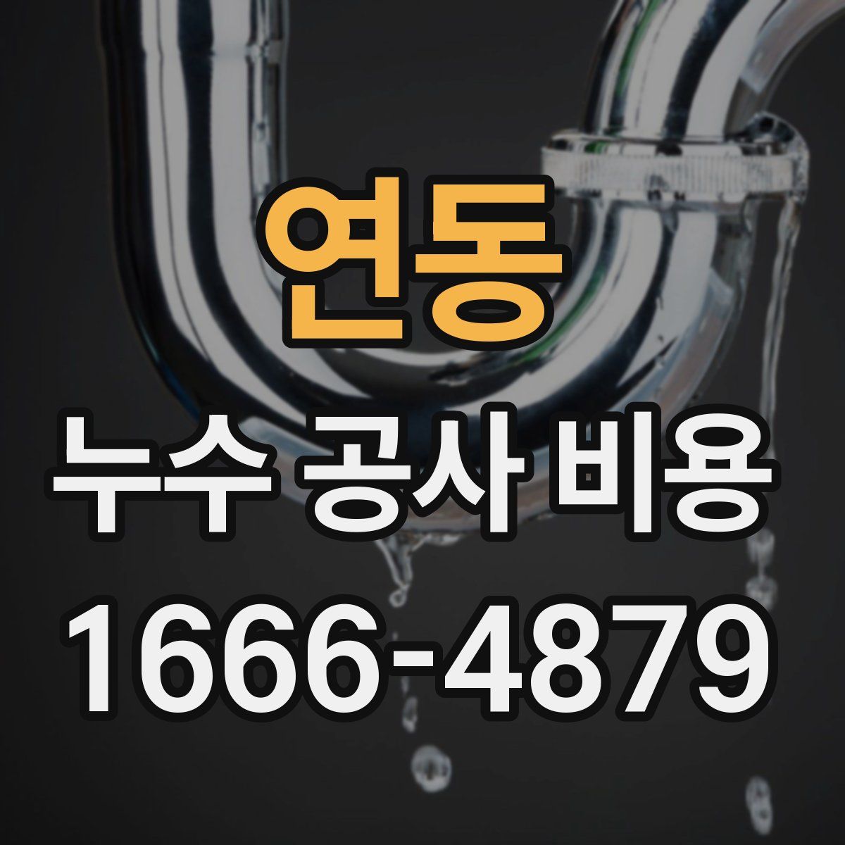 연동 누수 공사 비용