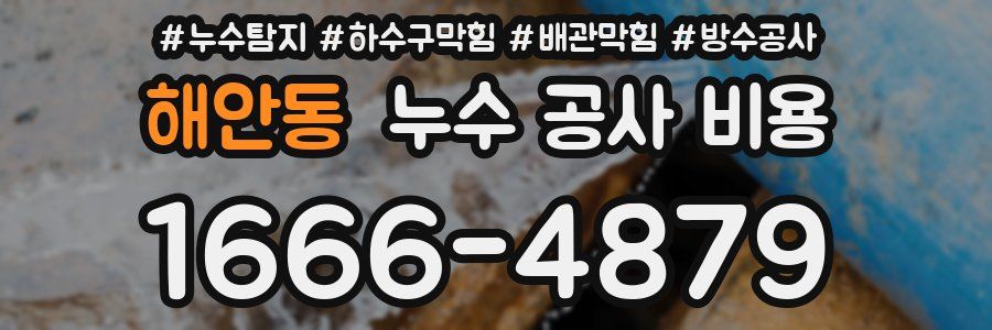 해안동 누수 공사 비용