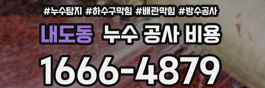 내도동 누수 공사 비용