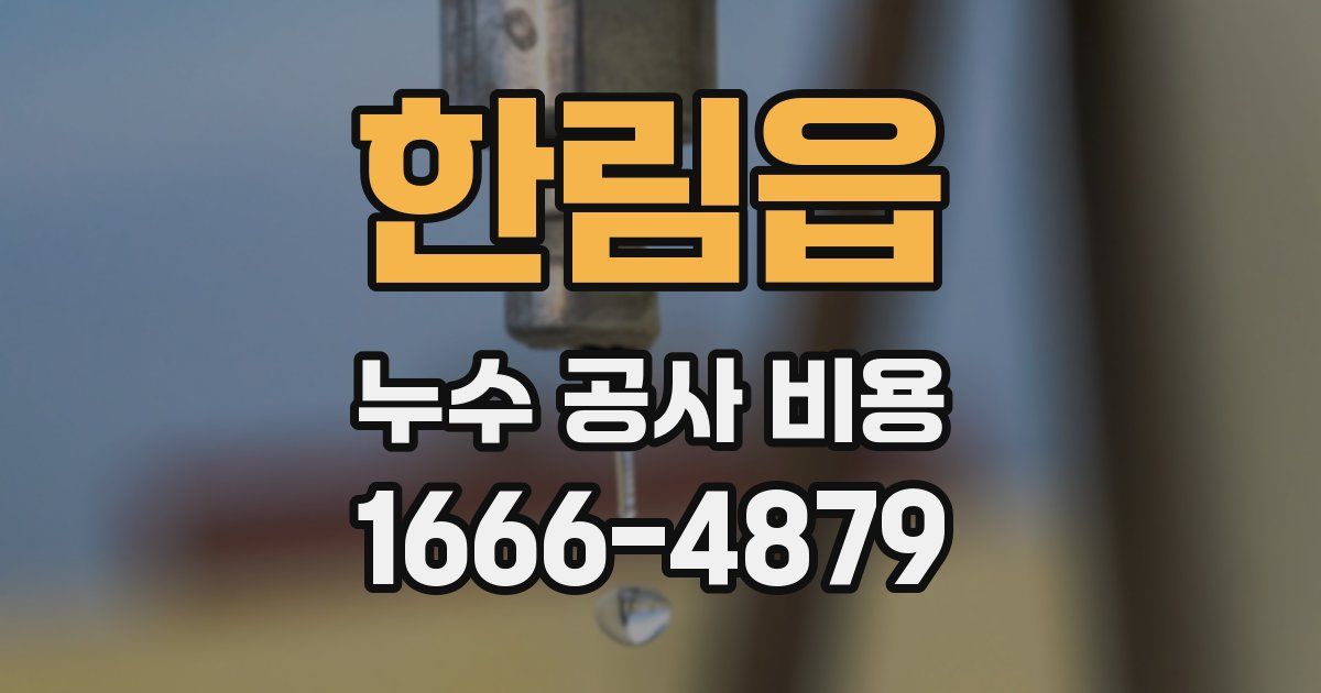 한림읍 누수 공사 비용