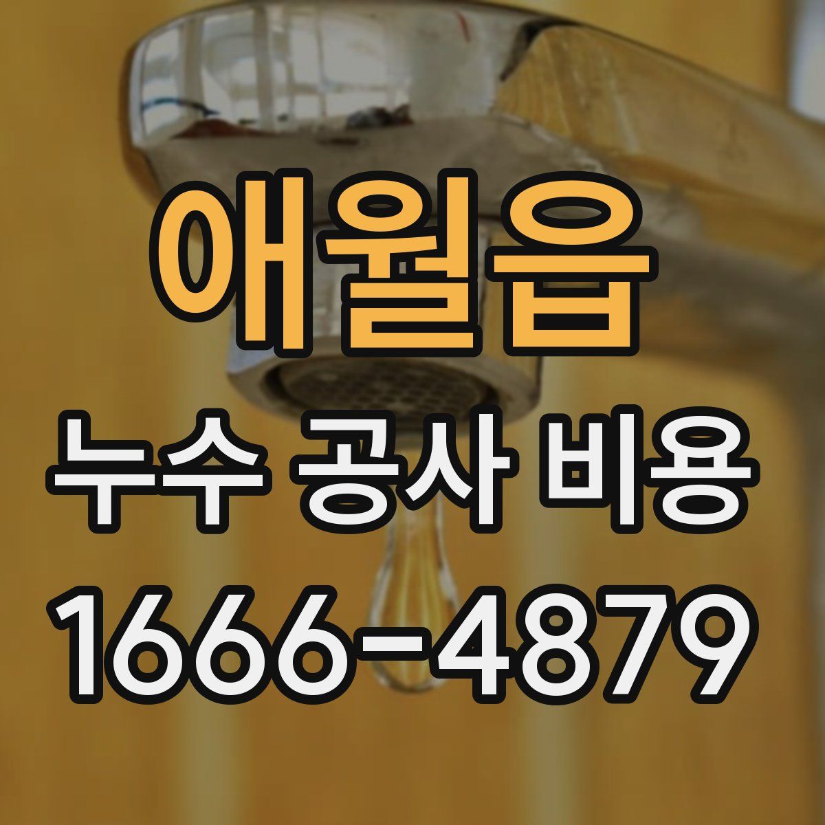애월읍 누수 공사 비용