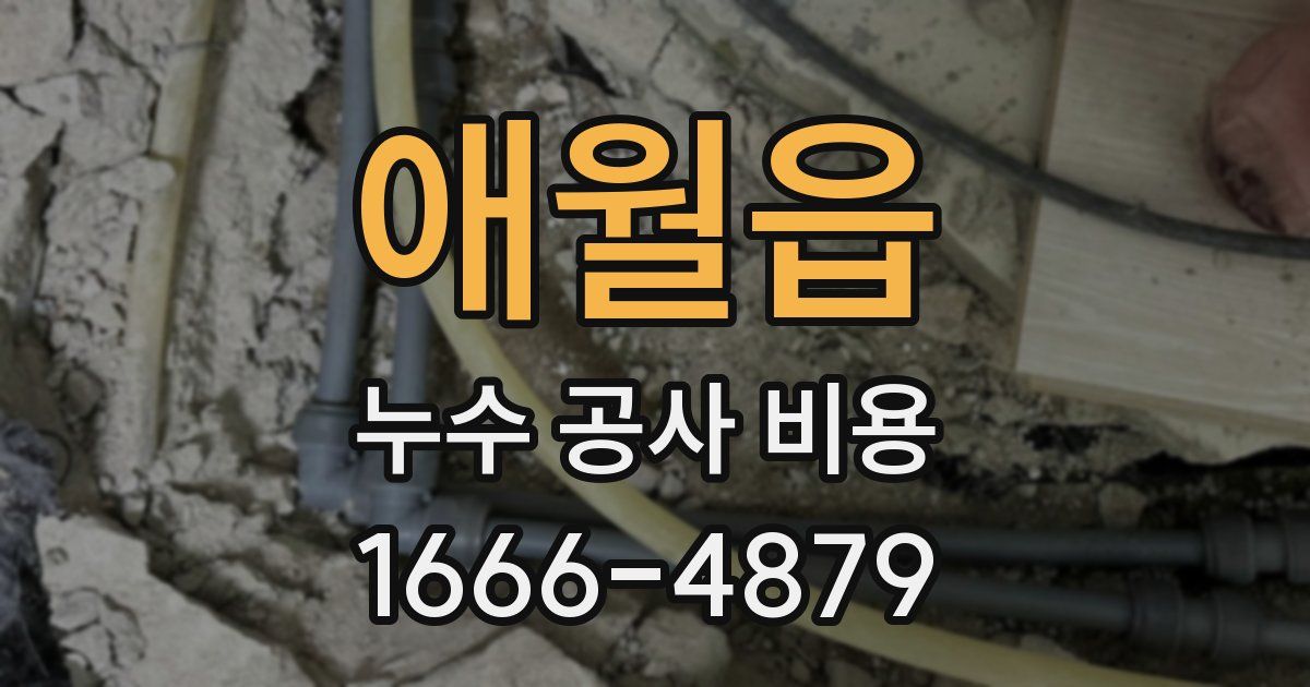 애월읍 누수 공사 비용