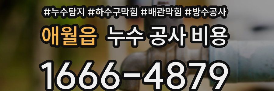 애월읍 누수 공사 비용