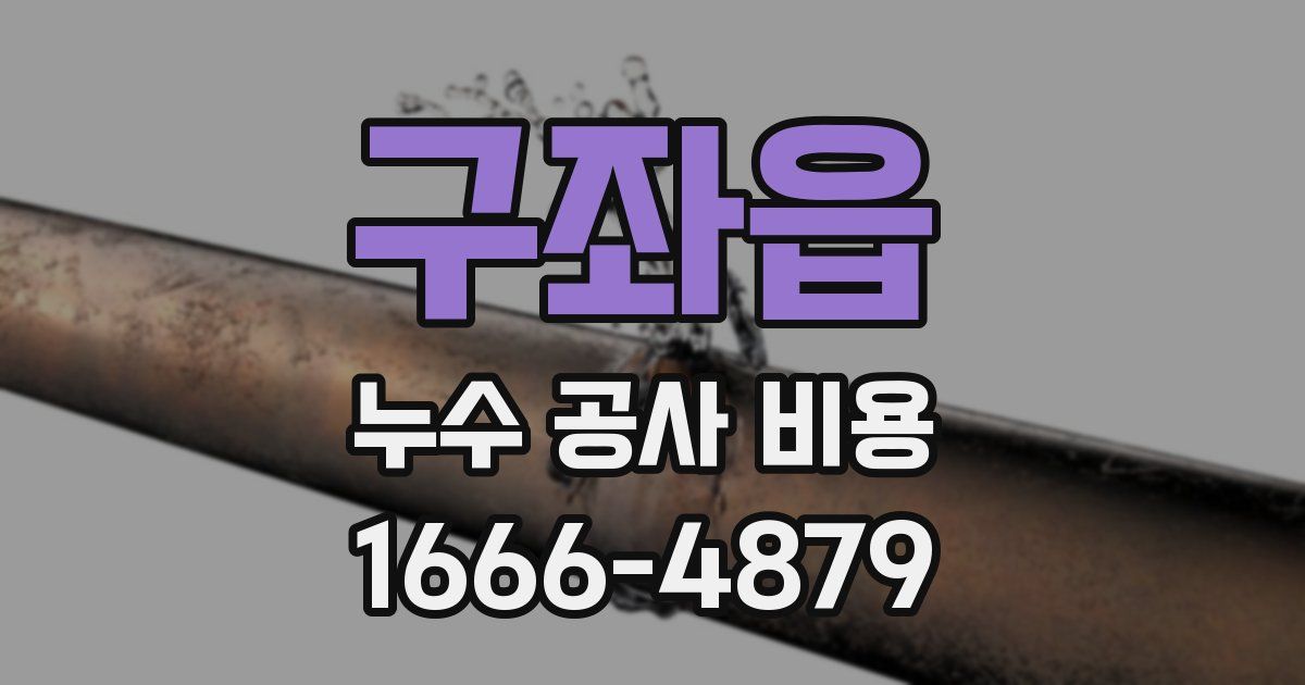 구좌읍 누수 공사 비용