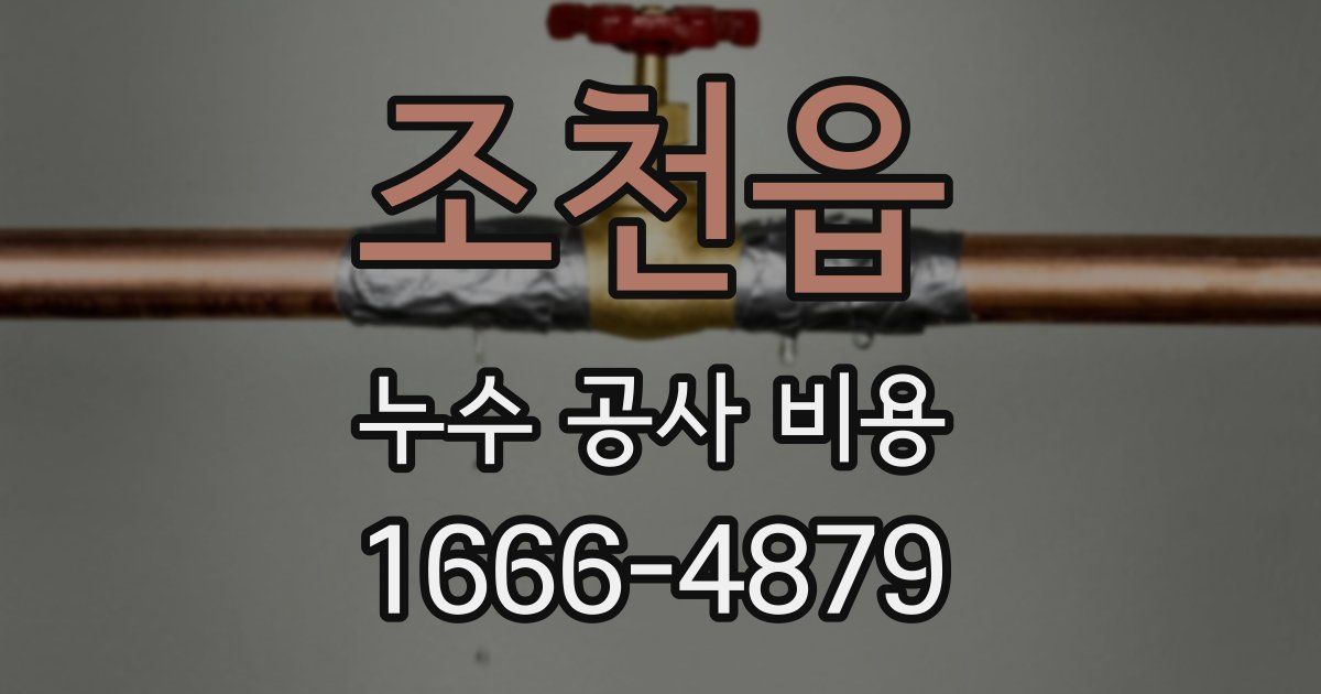 조천읍 누수 공사 비용