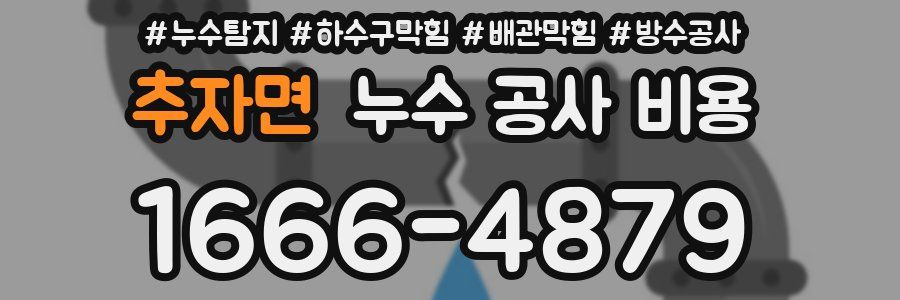 추자면 누수 공사 비용
