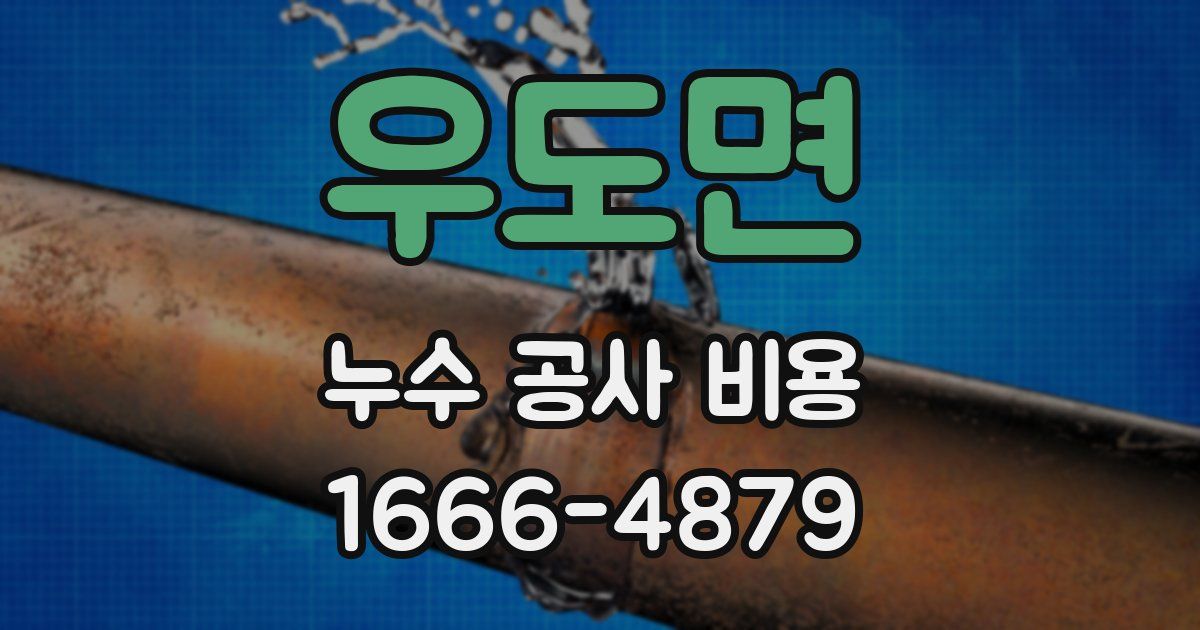 우도면 누수 공사 비용