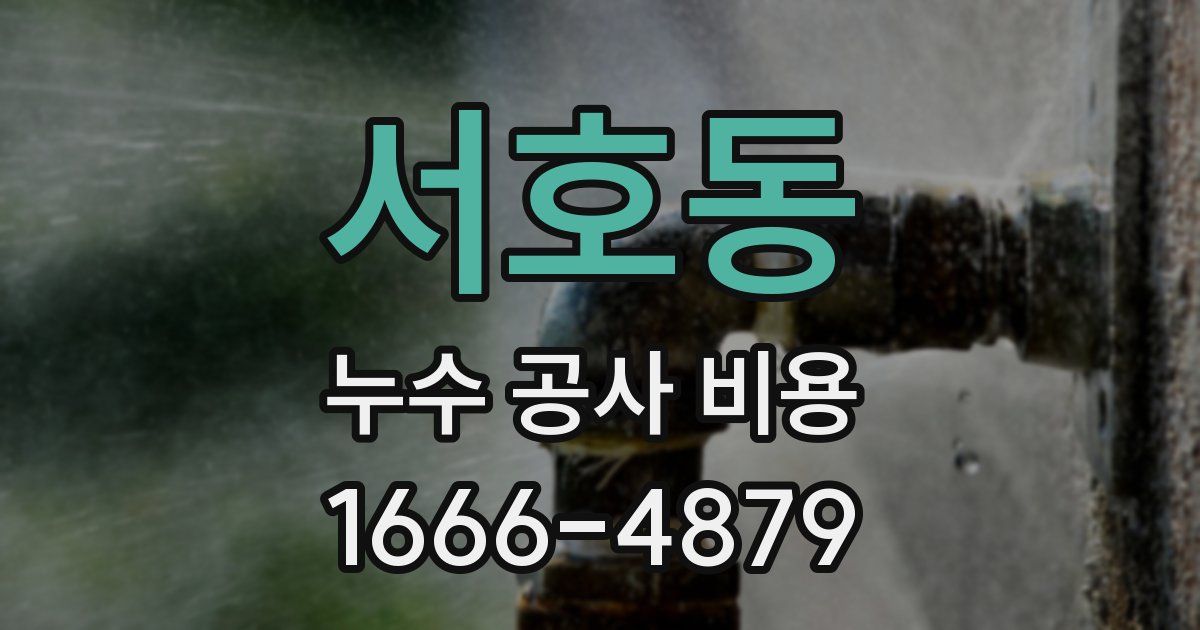 서호동 누수 공사 비용