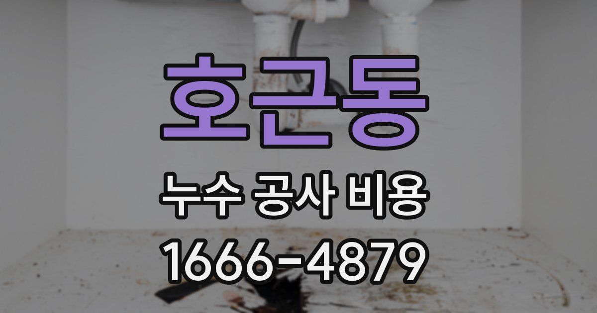 호근동 누수 공사 비용