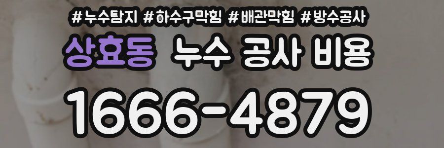 상효동 누수 공사 비용