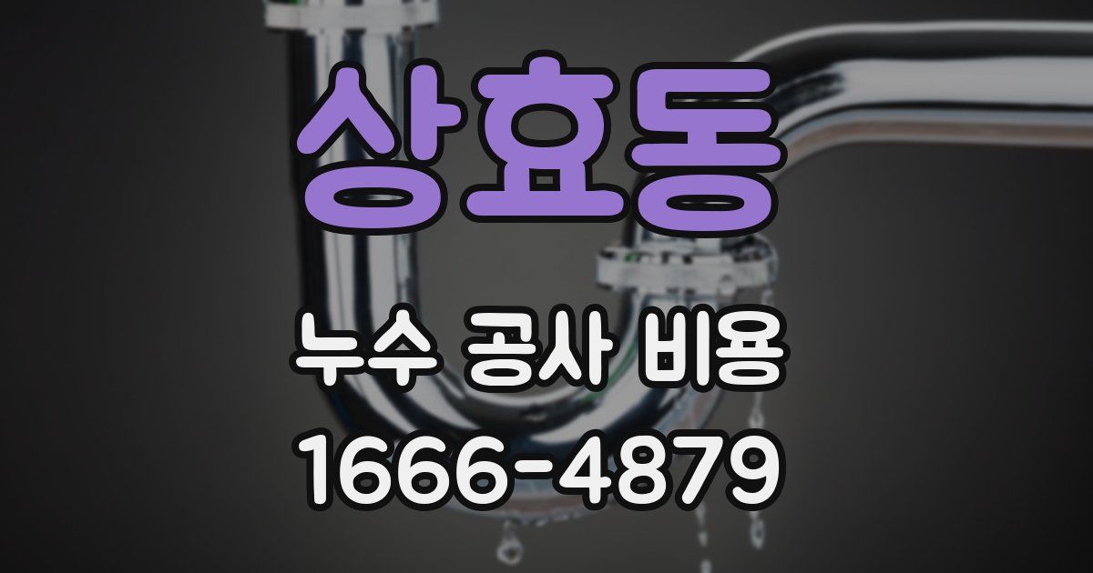 상효동 누수 공사 비용
