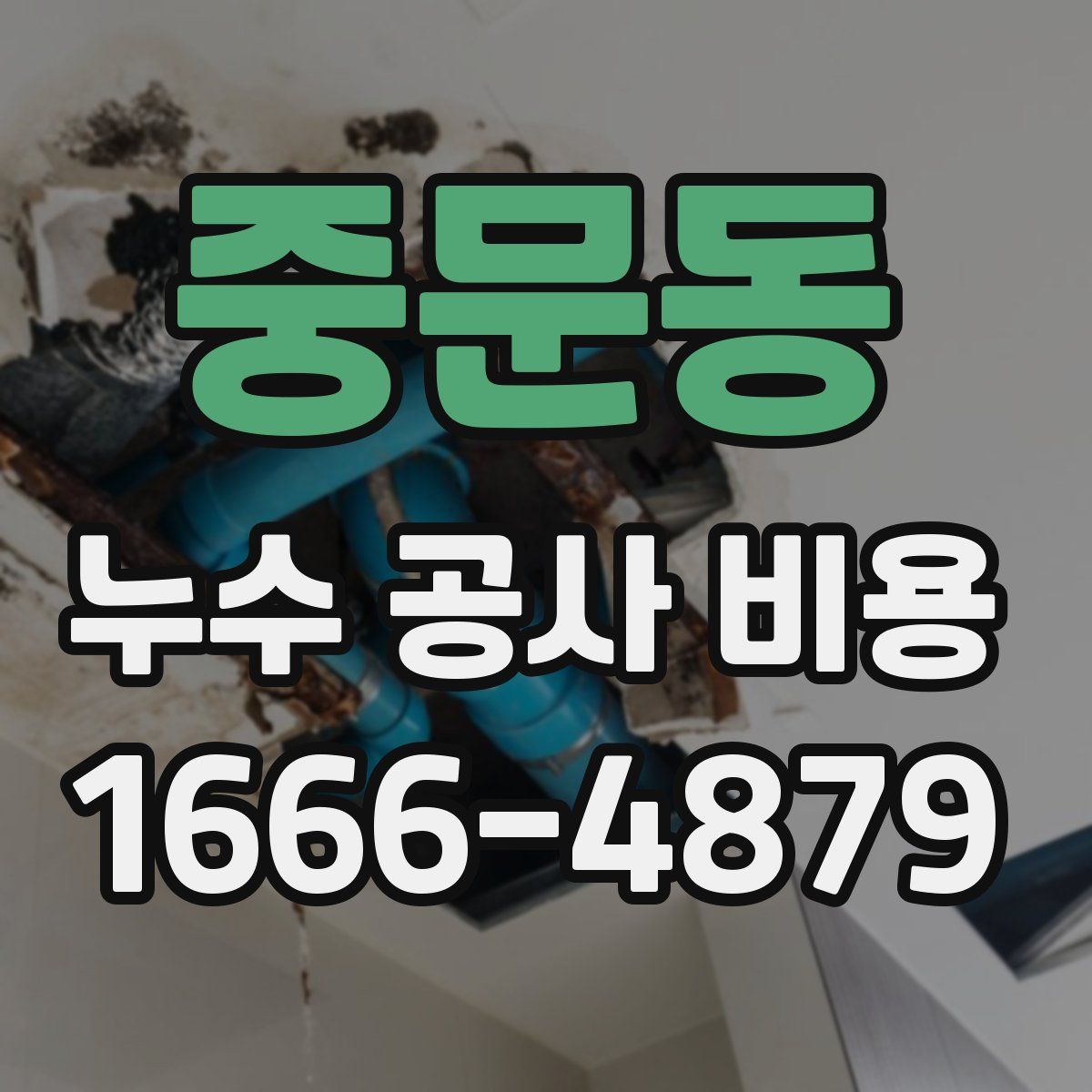 중문동 누수 공사 비용