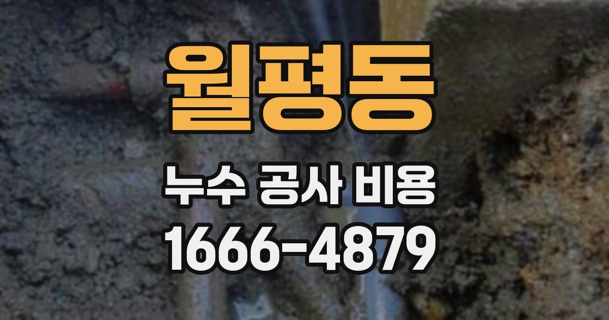 월평동 누수 공사 비용