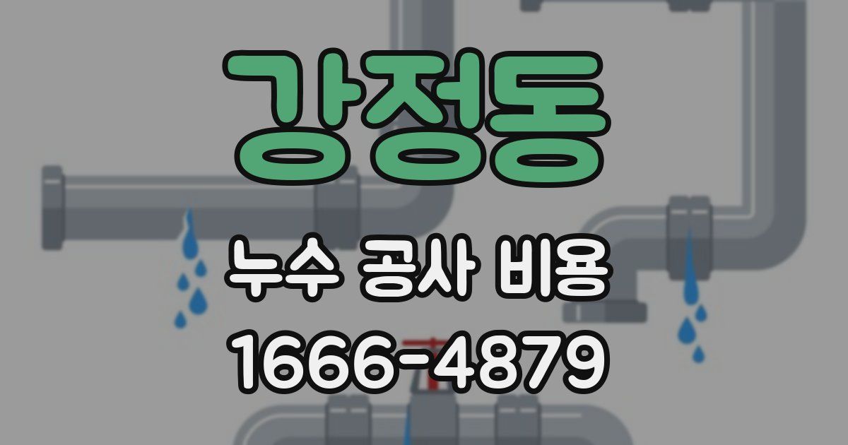 강정동 누수 공사 비용