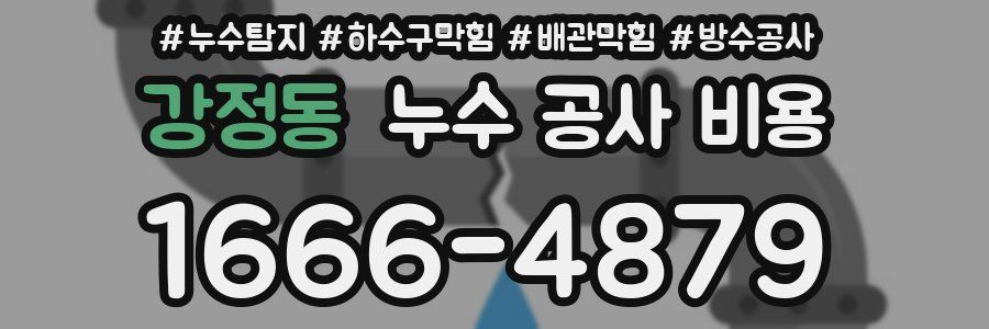 강정동 누수 공사 비용
