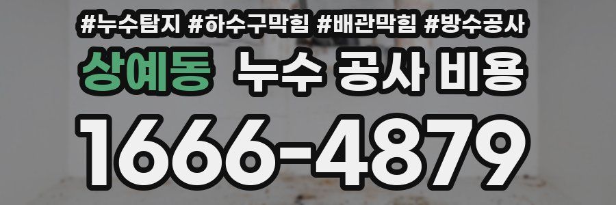 상예동 누수 공사 비용