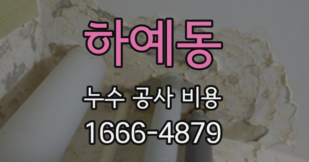 하예동 누수 공사 비용