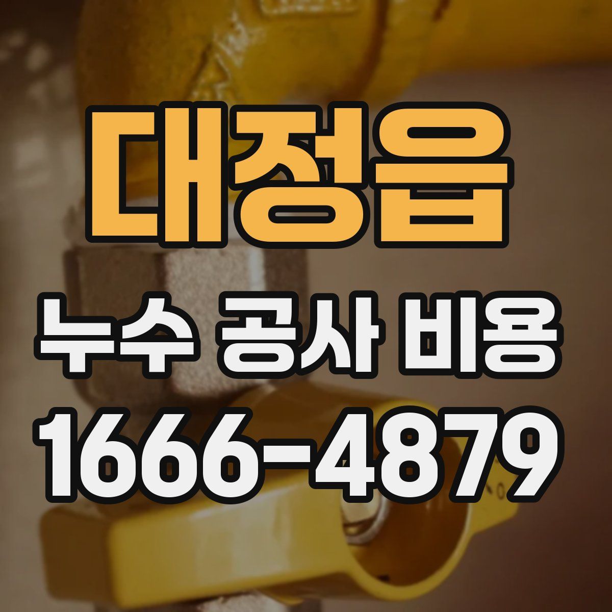 대정읍 누수 공사 비용