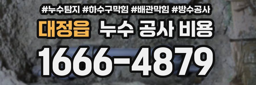 대정읍 누수 공사 비용
