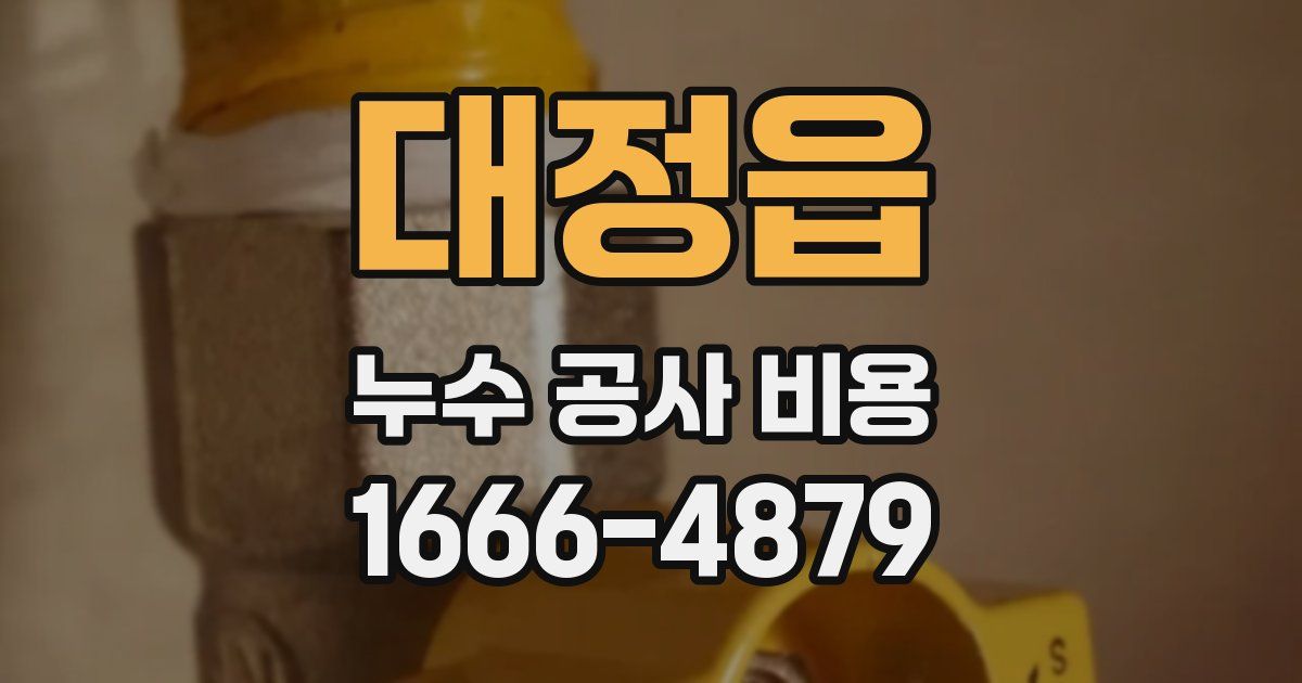 대정읍 누수 공사 비용