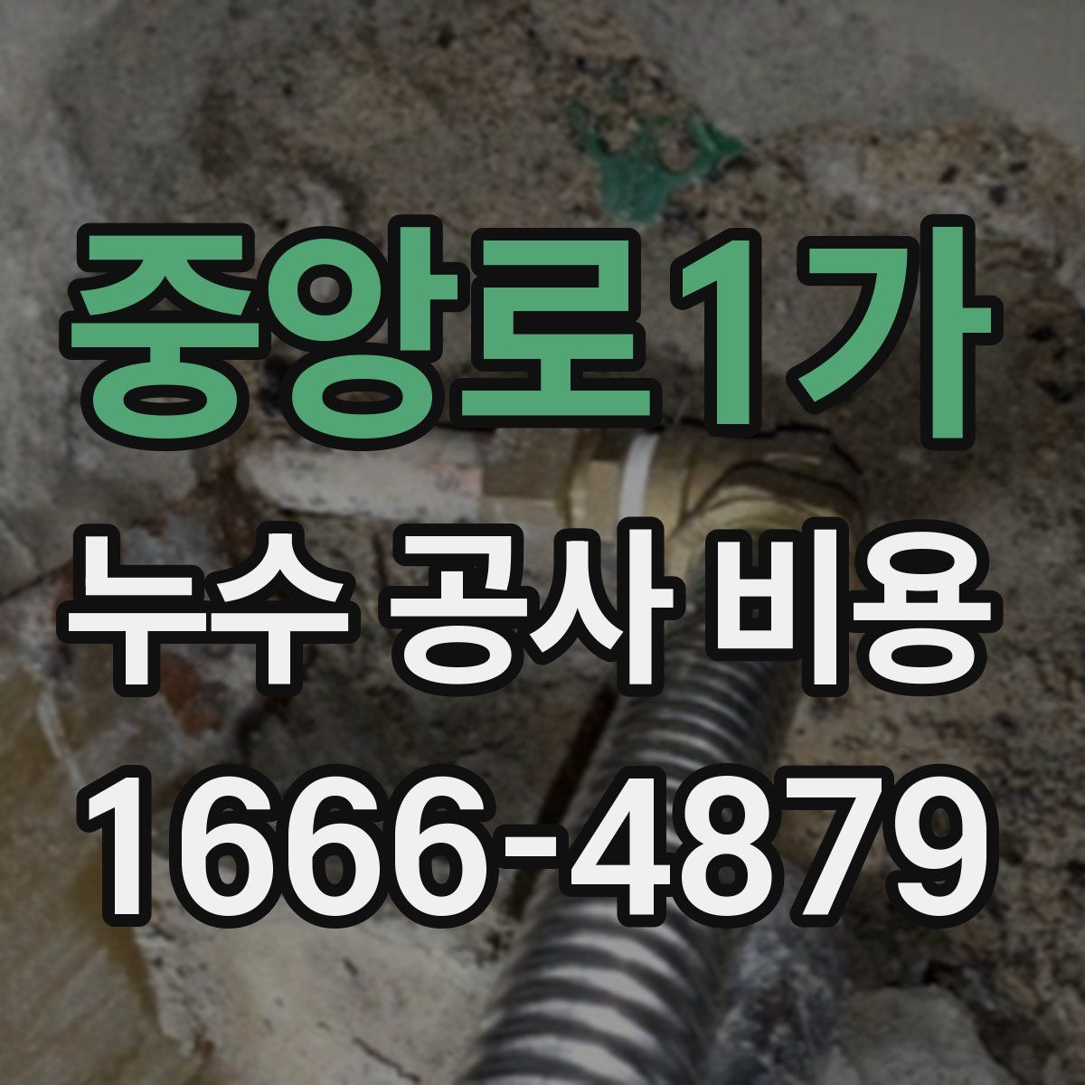 중앙로1가 누수 공사 비용