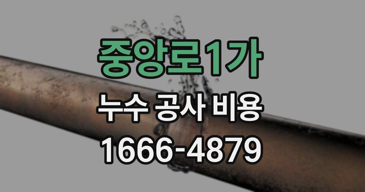 중앙로1가 누수 공사 비용