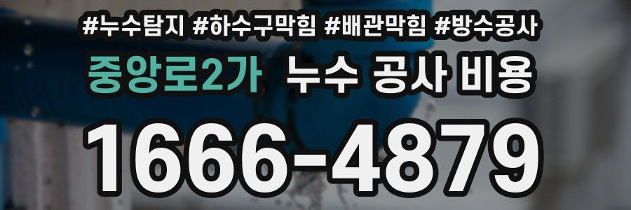중앙로2가 누수 공사 비용
