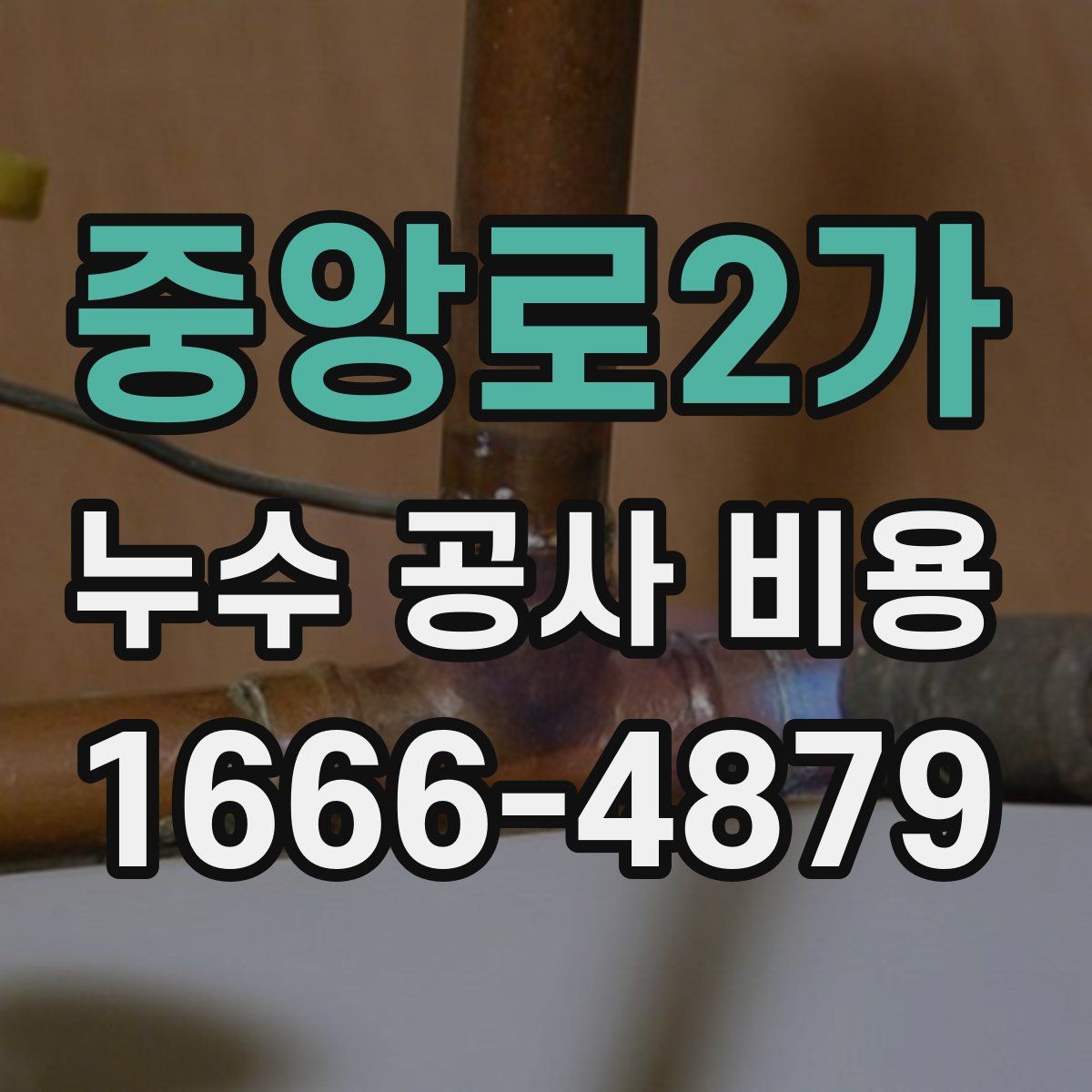 중앙로2가 누수 공사 비용