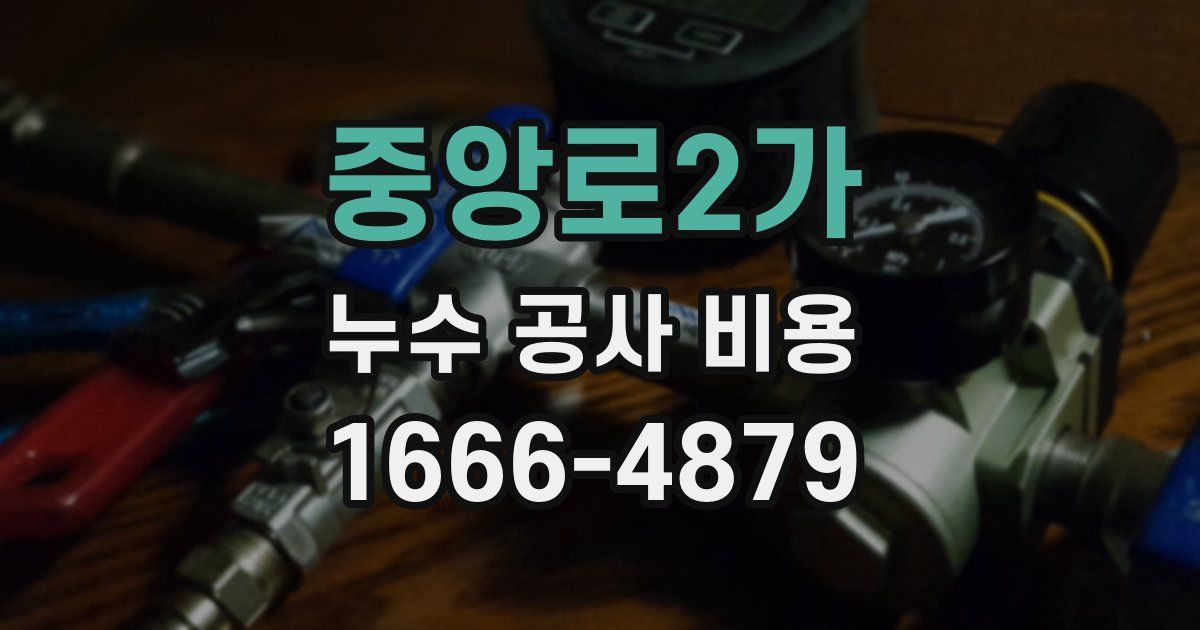 중앙로2가 누수 공사 비용