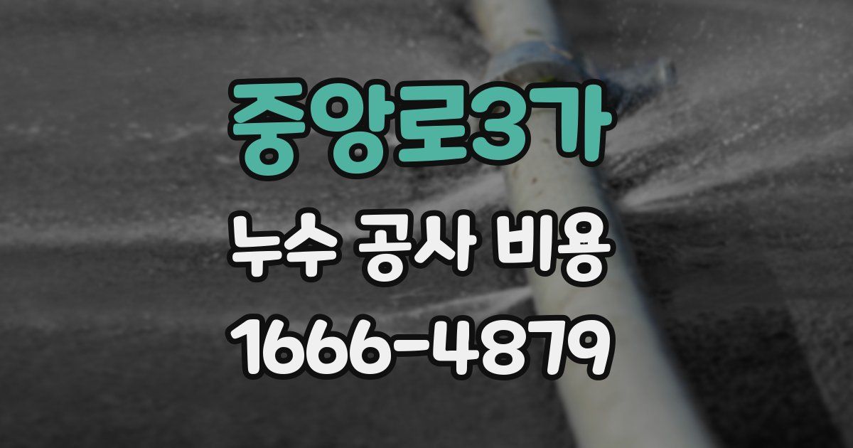 중앙로3가 누수 공사 비용