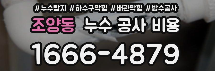 조양동 누수 공사 비용