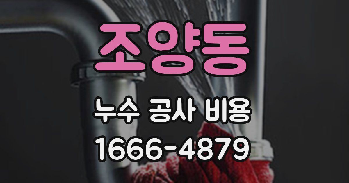 조양동 누수 공사 비용