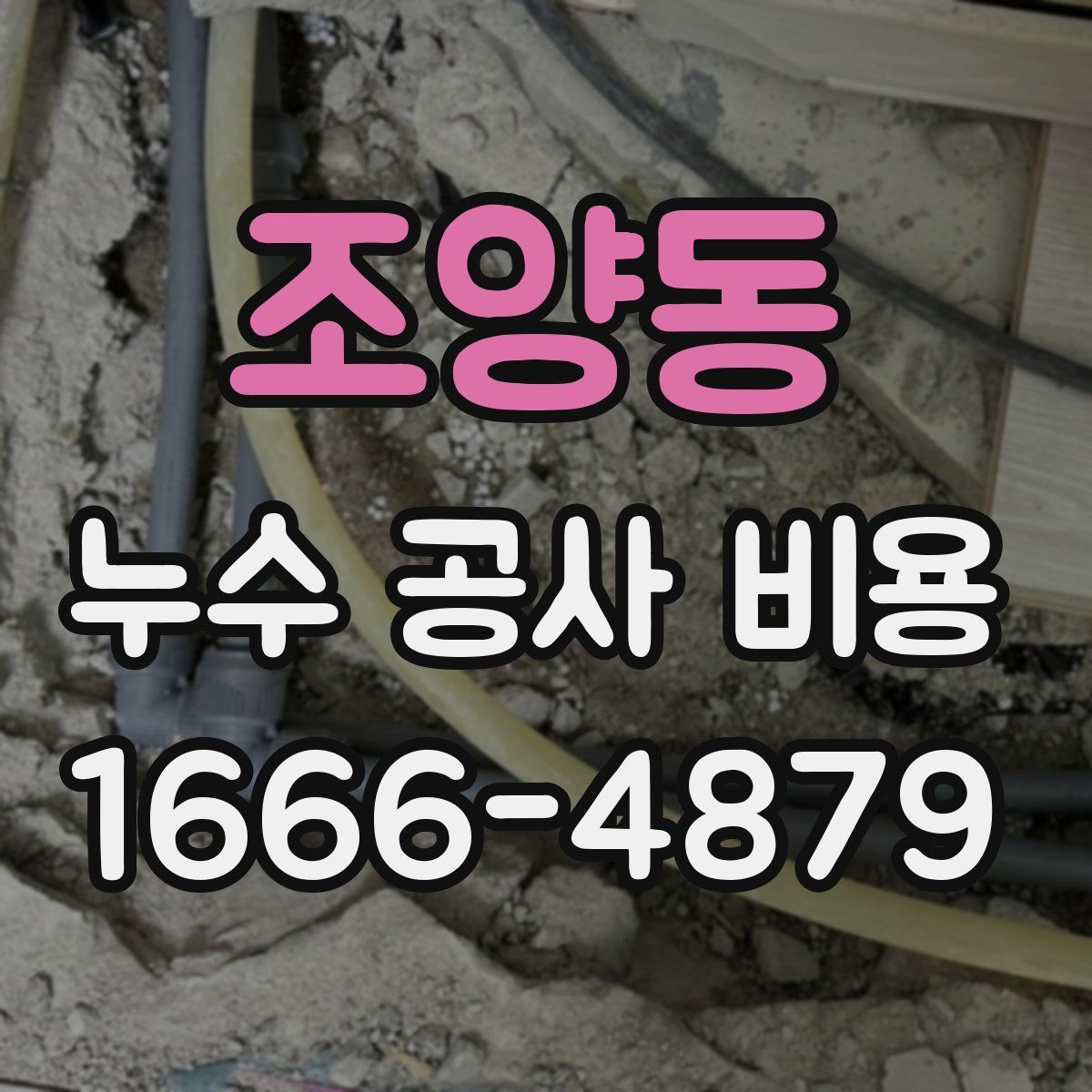 조양동 누수 공사 비용