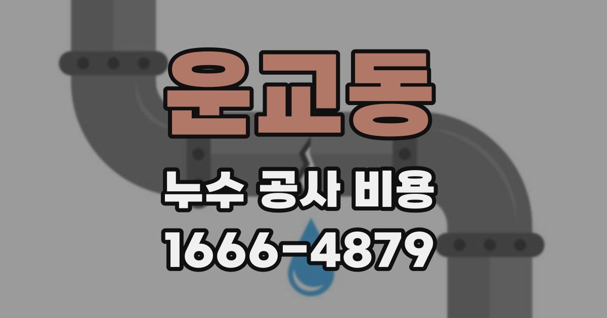 운교동 누수 공사 비용