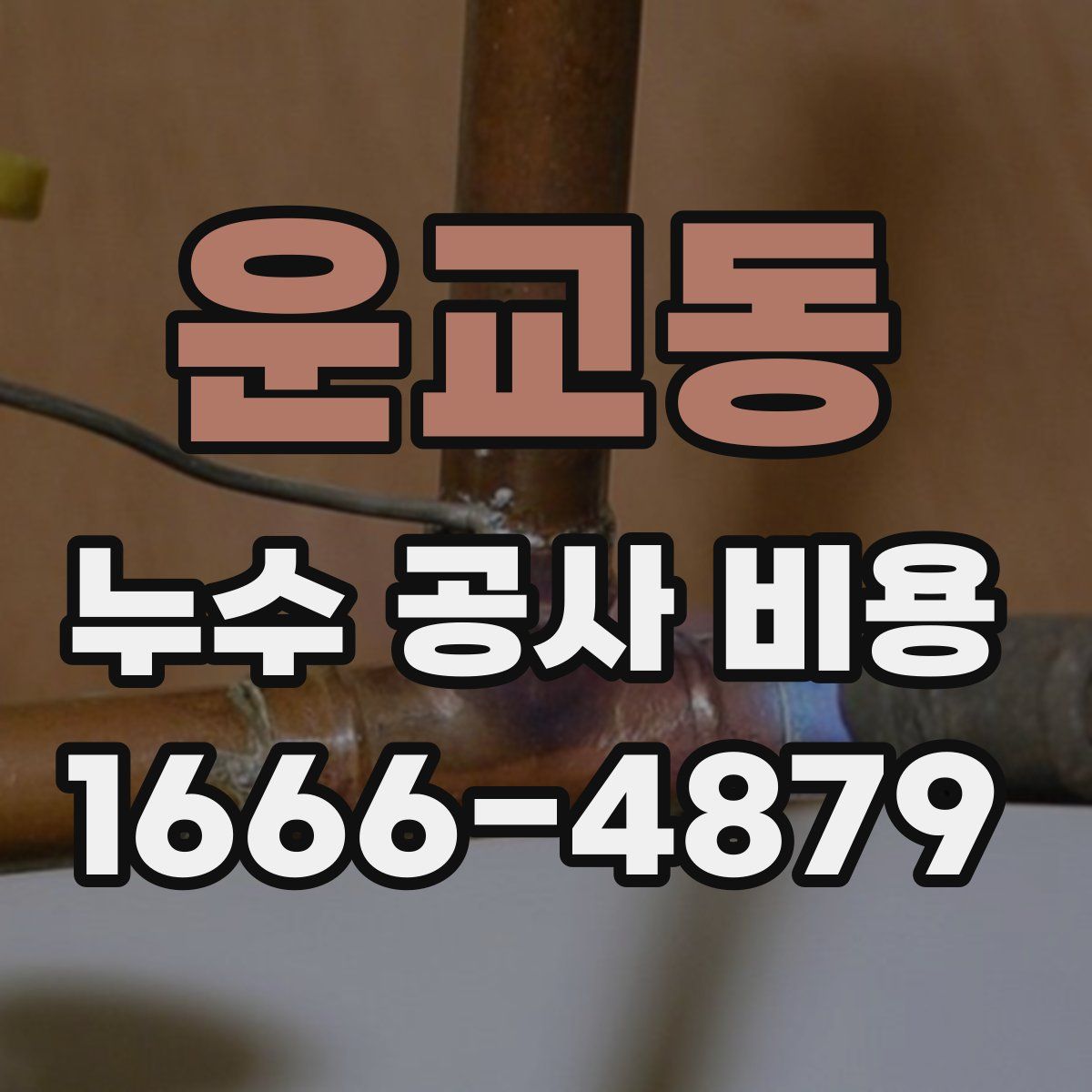 운교동 누수 공사 비용