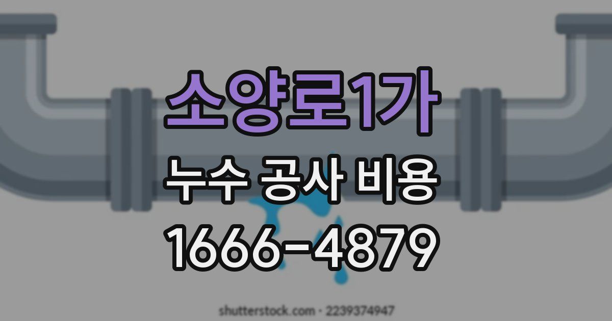 소양로1가 누수 공사 비용