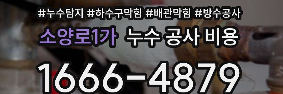 소양로1가 누수 공사 비용