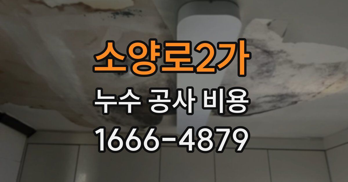 소양로2가 누수 공사 비용